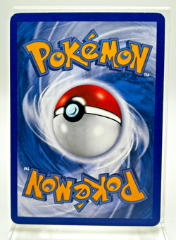 Ursaring RC16/RC25 Radiant Collection Legendary Treasures Pokemon Card 2013 LP - Image 2