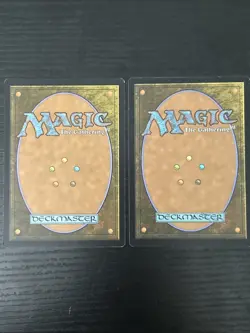 Archghoul of Thraben x2 Game Play - Image 2