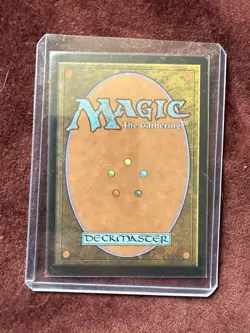 Meticulous Archive - FOIL - Murders at Karlov Manor (MKM) EN R 0264 - Image 2