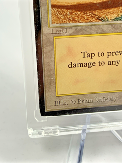 VINTAGE ARABIAN NIGHTS - Oasis MTG Magic the Gathering Card in Magnetic Holder - Image 3