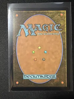 Multiversal Passage Borderless MTG SPM Nm/M *ON HAND* - Image 2
