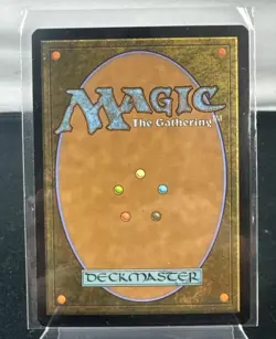 Magic The Gathering: Misty Rainforest Zendikar Regular - MR1 - Image 2