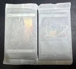 MTG Marvel’s Spider-Man Basic And Foil Full Art / Regular Lands Bundle W/ Extra - Image 1
