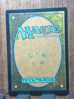 MTG🌳 Savage Order ( FOIL Borderless) : Jurassic World NEAR MINT💕❤ - Image 3