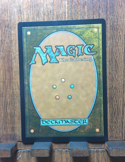 MTG🌳 Savage Order ( FOIL Borderless) : Jurassic World NEAR MINT💕❤ - Image 4