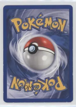 Wartortle Shadowless Pokemon Base Set #42 1999 - Image 2