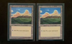 Magic: The Gathering Plains (343) MTG 1995 Ice Age x2 - Image 1