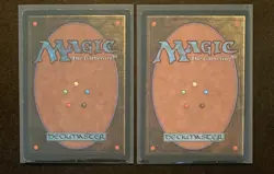 Magic: The Gathering Plains (343) MTG 1995 Ice Age x2 - Image 2