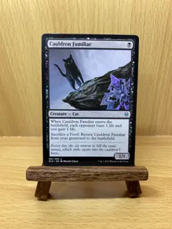 Cauldron Familiar - ELD 081 MTG Magic The Gathering - Image 1