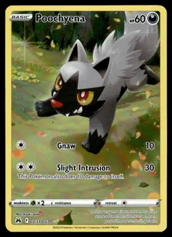 2023 Sword & Shield Series - Crown Zenith - Galarian Gallery Poochyena Common - Image 1