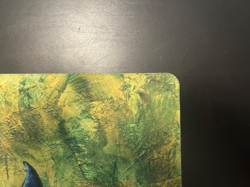 RARE (#5/50) EW Black Lotus playmat MTG 2015 - Image 3