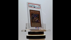 Dark Magician Girl 2003 Yu-Gi-Oh! MFC Magician's Force 1st Edition #000 PSA 8 - Image 2