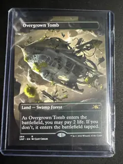 Overgrown Tomb (Borderless) Unfinity Regular MTG NM Magic Card - Image 1