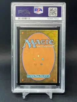 🌈 Defense of the Heart - MTG Wilds of Eldraine Anime Borderless FOIL - PSA 10 - Image 2