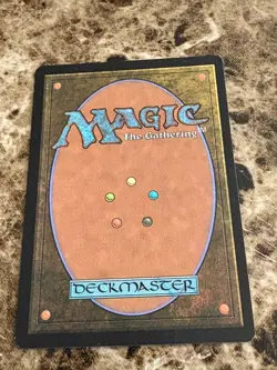 FOREST Magic MTG Wilds of Eldraine Foil Full Art - Image 2