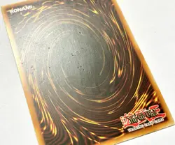 LC5D-EN092 Glow-Up Bulb - Secret Rare 1st Edition Lightly Played YuGiOh Card - Image 3