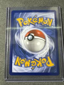Minccino 182/162 Pokemon TCG Temporal Forces Illustration Rare - Image 2