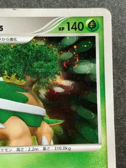 Pokemon card Torterra LV.45 DPBP#450 DP1 2006 Pokemon TCG Japanese Holo Nintendo - Image 3