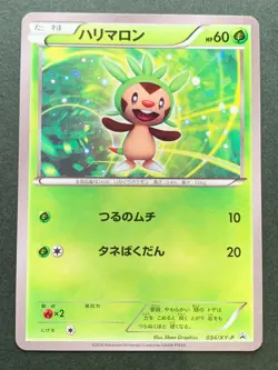 Pokemon card Chespin 034/XY-P Promo 2016 Pokemon TCG Japanese Nintendo Rare - Image 1