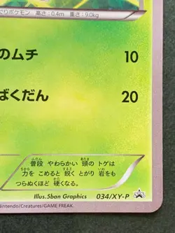 Pokemon card Chespin 034/XY-P Promo 2016 Pokemon TCG Japanese Nintendo Rare - Image 4