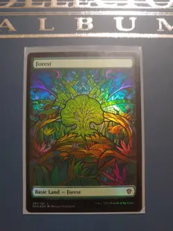Forest Showcase Dominaria United Foil 281 MTG - Image 1