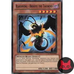 Yugioh Blackwing - Brisote the Tailwind STOR-EN008 Common NM - Image 1