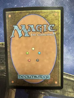 Mtg Sanpongi City Winter Borderless Foil - Image 2