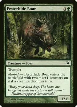 X4 Festerhide Boar Innistrad LP/NM MTG Magic DNA GAMES - Image 1