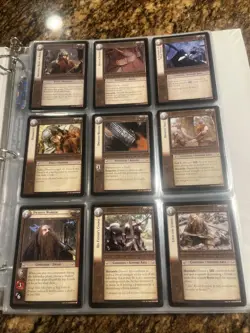 Lord of the Rings TCG - Black Rider complete 194 card set Unplayed Cards Mint! - Image 1