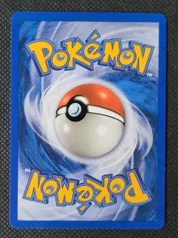 Pokemon Card - Beedrill - Skyridge - Non-Holo Rare - 5/144 - M/NM - Image 2