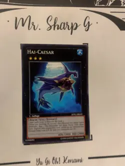 HAI-CAESAR - 1. AUFLAGE JOTL-DE049 DEUTSCH Yu-Gi-Oh! CARD COMMON KONAMI - Image 2