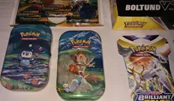 Pokemon Boltund VBox w/ Evolving Skies Packs - Tins - 2 Pack & 3 Pack Blisters + - Image 5