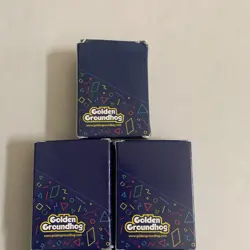 Pokemon 305 TCG Cards With LE Charizard Cards Battle Bundles By Golden Groundhog - Image 5