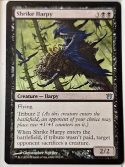 Shrike Harpy - Born of the Gods - Magic the Gathering MTG Nice! - Image 1