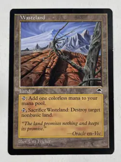 Wasteland Tempest HP Heavy Play MTG Magic The Gathering - Image 1