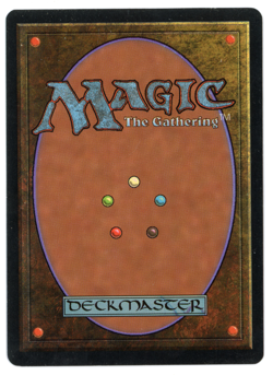 Scroll Rack -- MTG (MP Quality) - English Tempest - See pics!! - Image 2