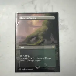 Llanowar Wastes (Borderless) The Brothers' War Regular - Image 1