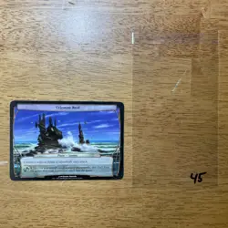 🌊 Celestine Reef - MTG Oversize - Planechase - DCI WPN Prerelease Promo 42 L45 - Image 1