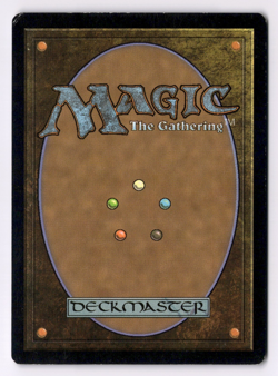 Illusionary Armor LP* FOIL Core Set 2014 M14 59/249 mtg -UnltdCards - Image 2