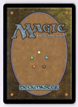 Knightly Valor NM* FOIL ENCHANTING TALES Wilds OF Eldraine 0008 mtg -UnltdCards - Image 2