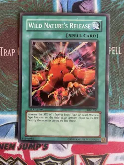 Wild Nature's Release IOC-033 Invasion of Chaos 1st Edition LP - Image 1