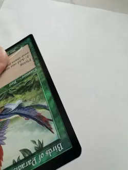 MTG Birds of Paradise Foil 7th Edition - Image 2