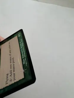MTG Birds of Paradise Foil 7th Edition - Image 3