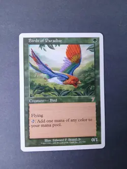 MTG Birds of Paradise 7th NM - Image 1