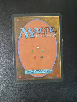 Winter’s Chill Ice Age MTG LP - Image 2