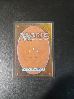 Animate Wall Revised Edition NM - Image 2