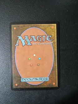 Shunt Darksteel MTG LP - Image 2