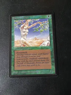 Beta Shanodin Dryads MTG NM - Image 1