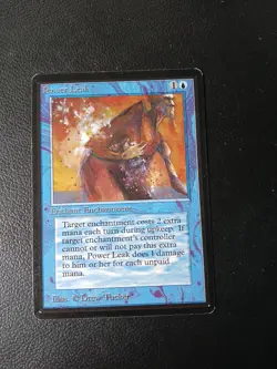 POWER LEAK BETA MTG LP - Image 1