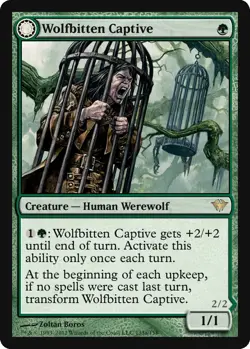 MTG Magic the Gathering 4x Wolfbitten Captive (Playset) Dark Ascension NM - Image 1